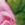 floral.jpg